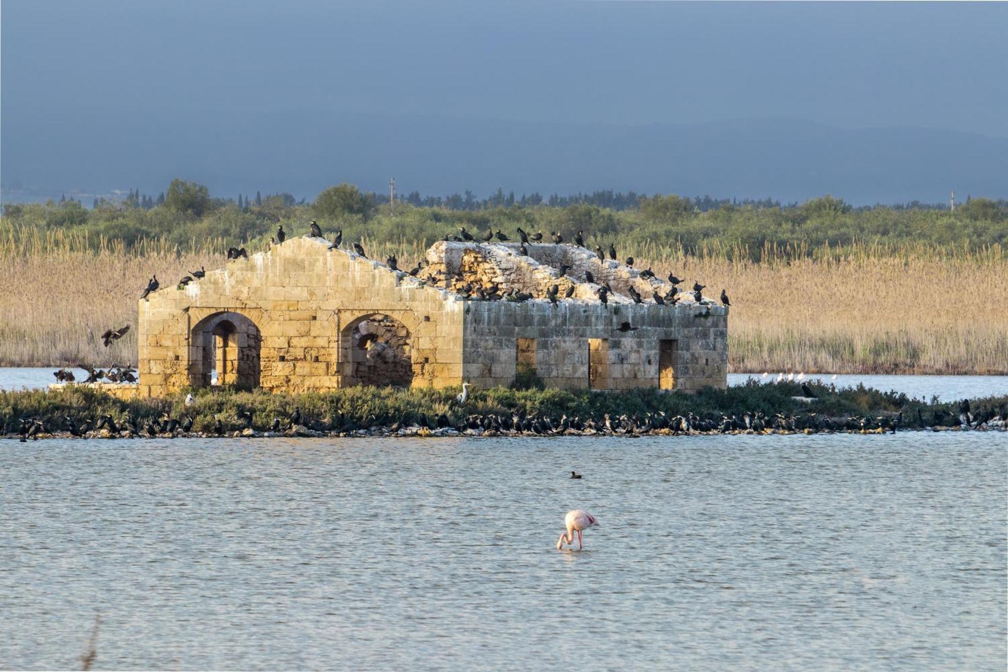 Il Moro Rooms Avola Εξωτερικό φωτογραφία